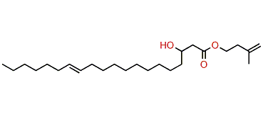 Isoprenyl 3-hydroxy-13-eicosenoate